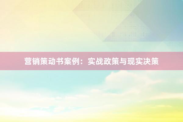 营销策动书案例：实战政策与现实决策