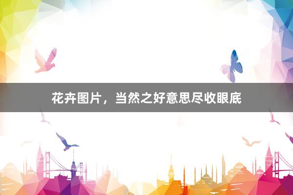 花卉图片，当然之好意思尽收眼底
